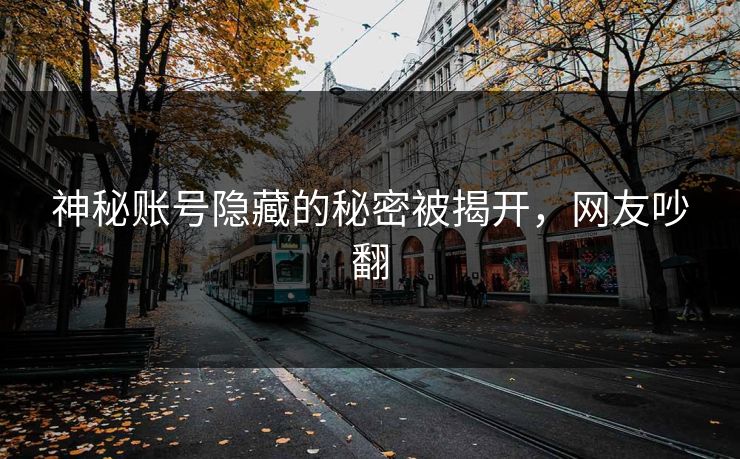 神秘账号隐藏的秘密被揭开，网友吵翻