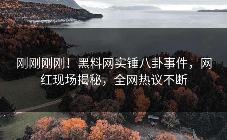刚刚刚刚！黑料网实锤八卦事件，网红现场揭秘，全网热议不断