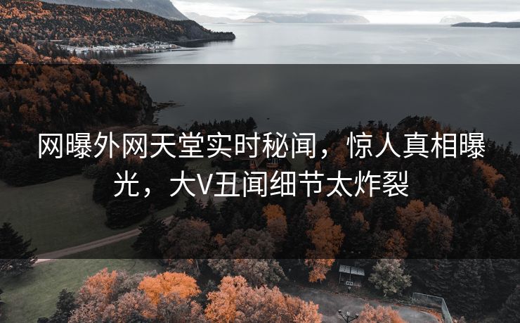 网曝外网天堂实时秘闻，惊人真相曝光，大V丑闻细节太炸裂
