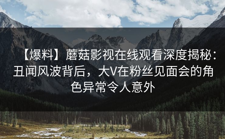 【爆料】蘑菇影视在线观看深度揭秘：丑闻风波背后，大V在粉丝见面会的角色异常令人意外