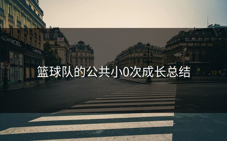 篮球队的公共小0次成长总结