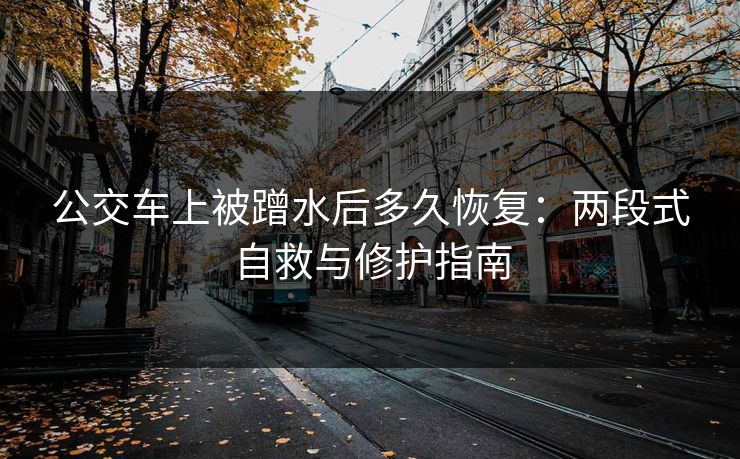 公交车上被蹭水后多久恢复：两段式自救与修护指南