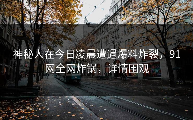 神秘人在今日凌晨遭遇爆料炸裂，91网全网炸锅，详情围观